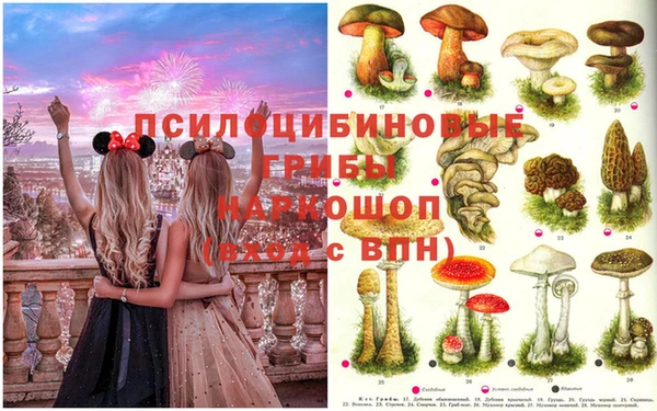 прущая мука Белоозёрский