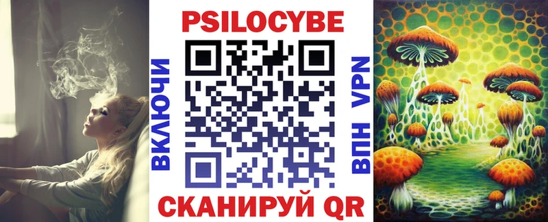 нарко площадка официальный сайт  Дигора  Псилоцибиновые грибы мицелий  купить  